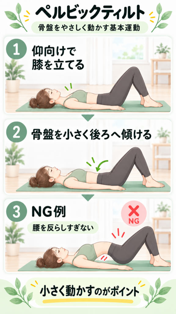 ペルビックティルトのやさしい基本ガイド