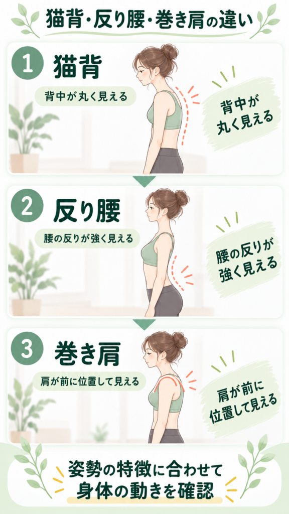猫背・反り腰・巻き肩の違い